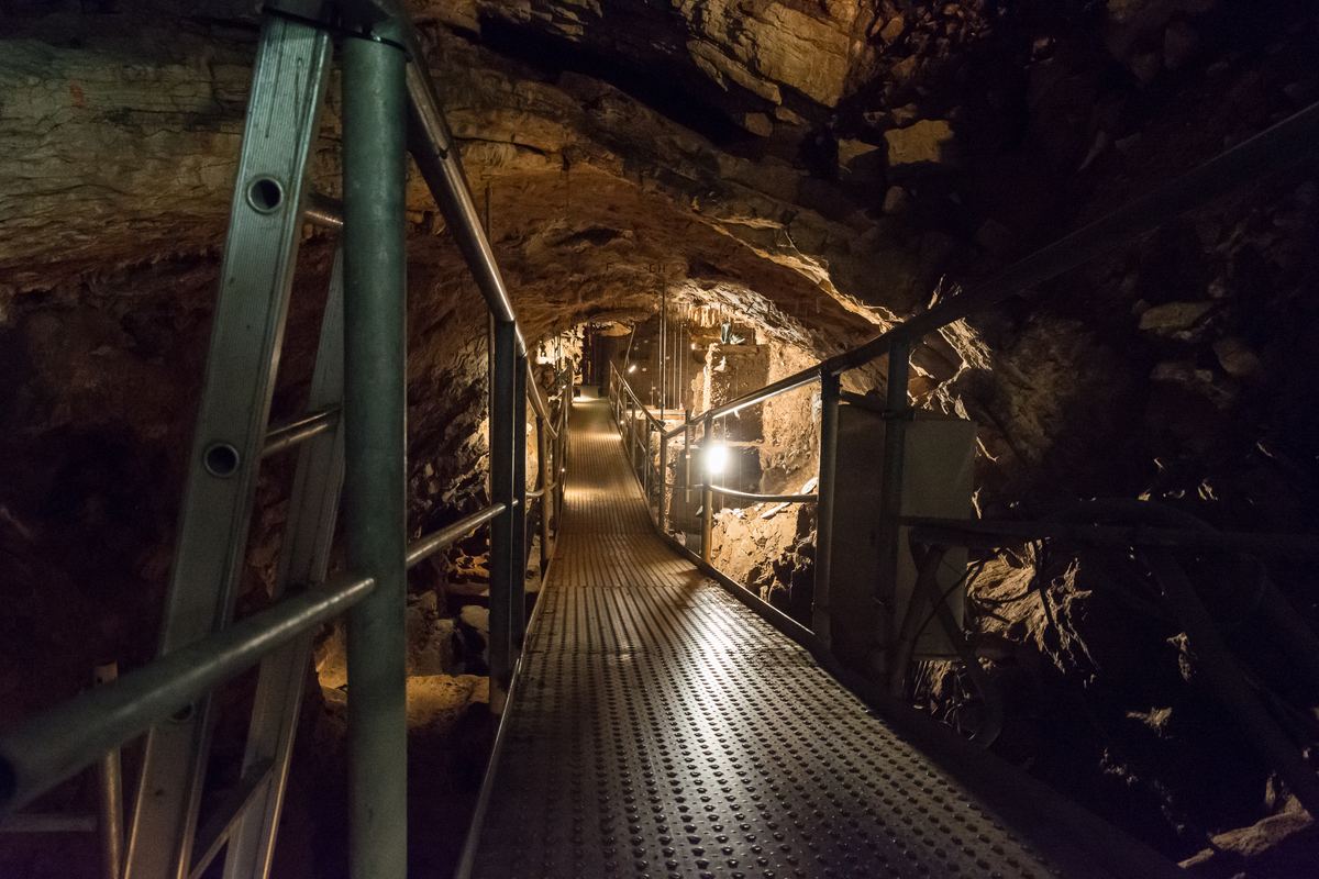 Scladina Cave Archaeological Centre