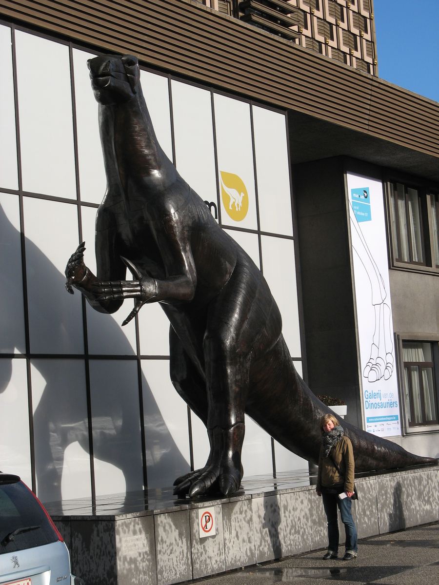 Royal Belgian Institute of Natural Sciences
