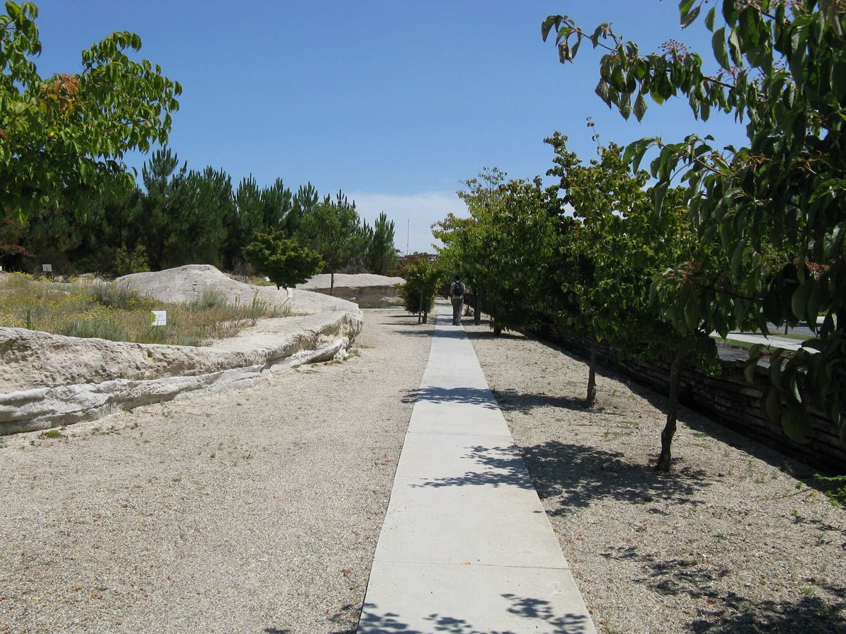 Bordeaux Botanical Garden (Bastide Site)