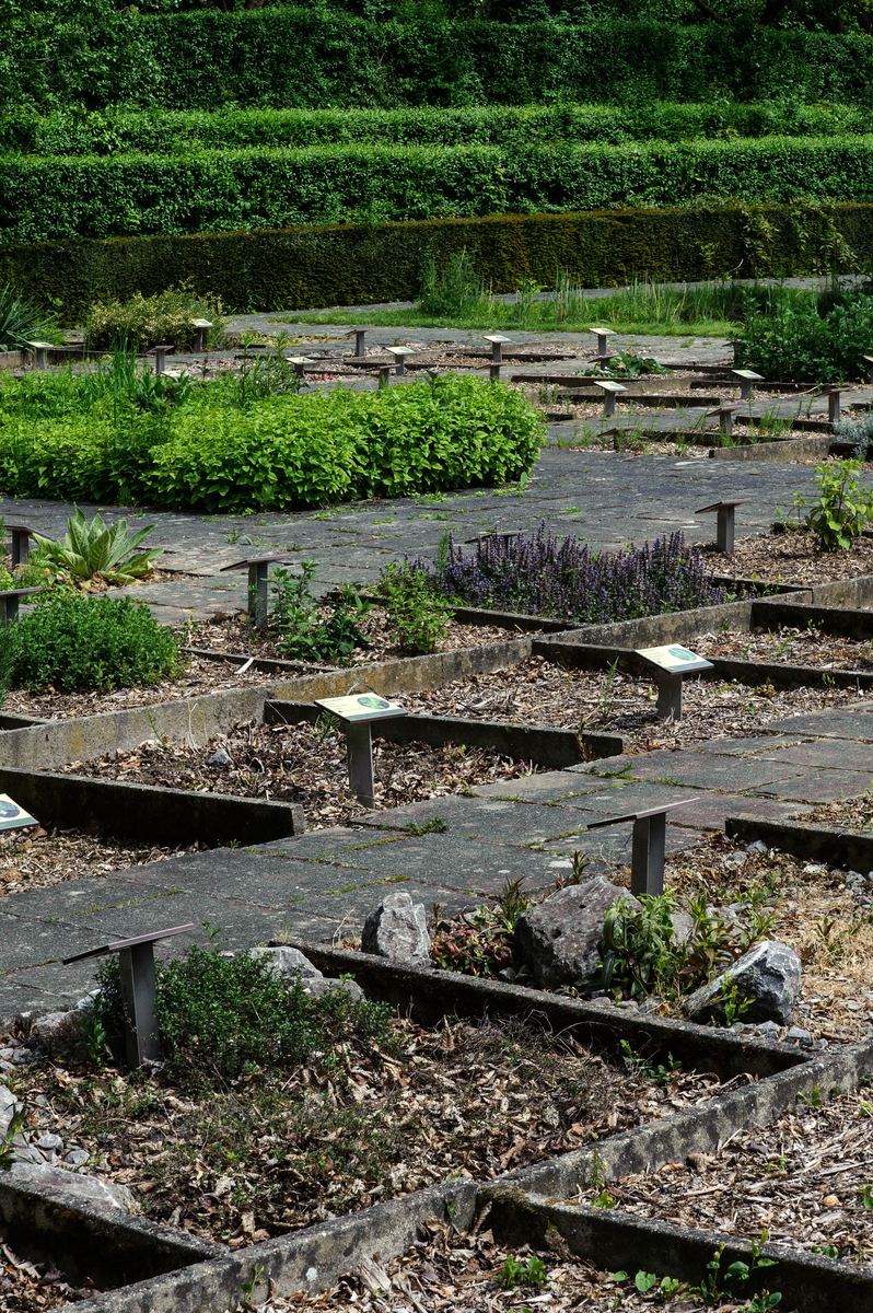 Paul Moens Medicinal Plant Garden