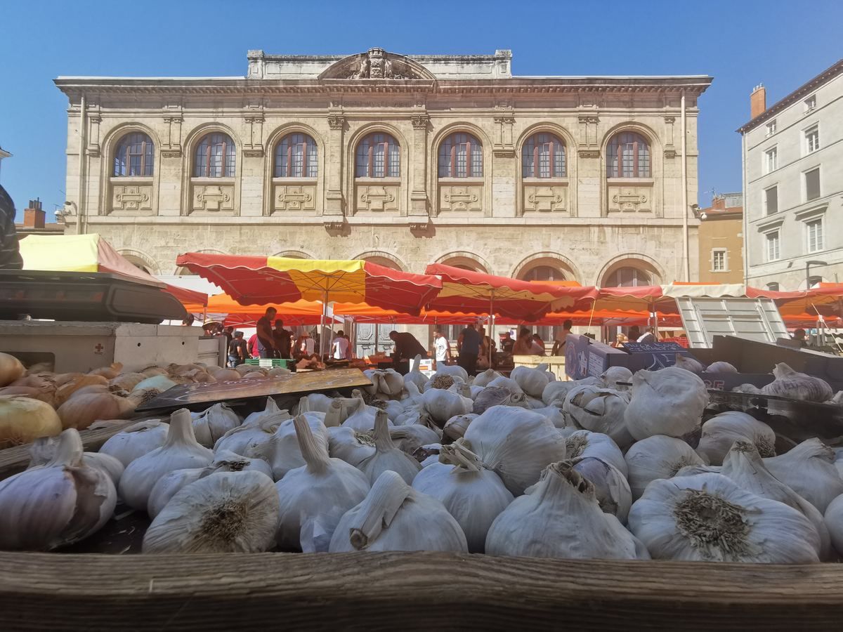 Vienne Museum of Fine Arts and Archaeology