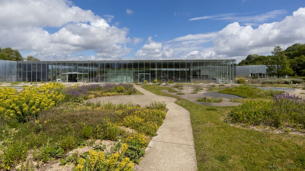 Louvre-Lens