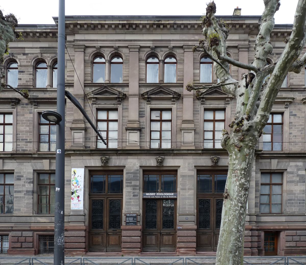 Zoological Museum