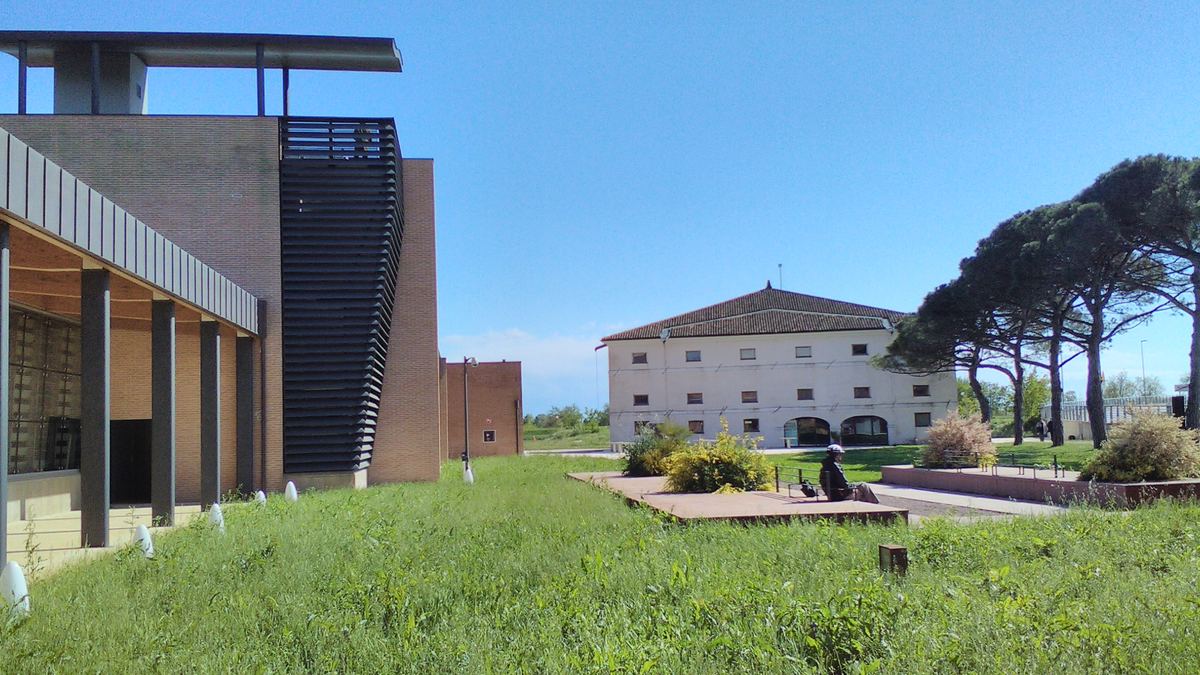 National Archaeological Museum of Altino