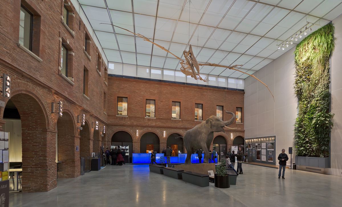 Toulouse Natural History Museum