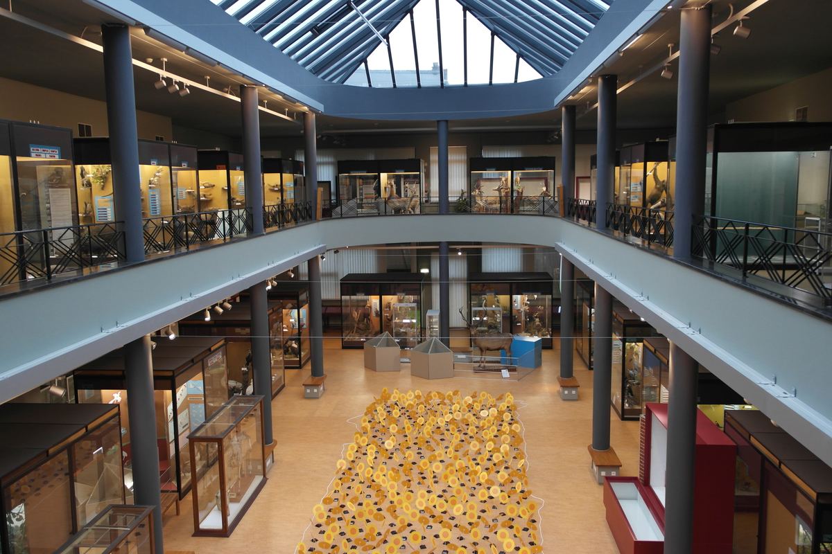 Regional Museum of Natural Sciences
